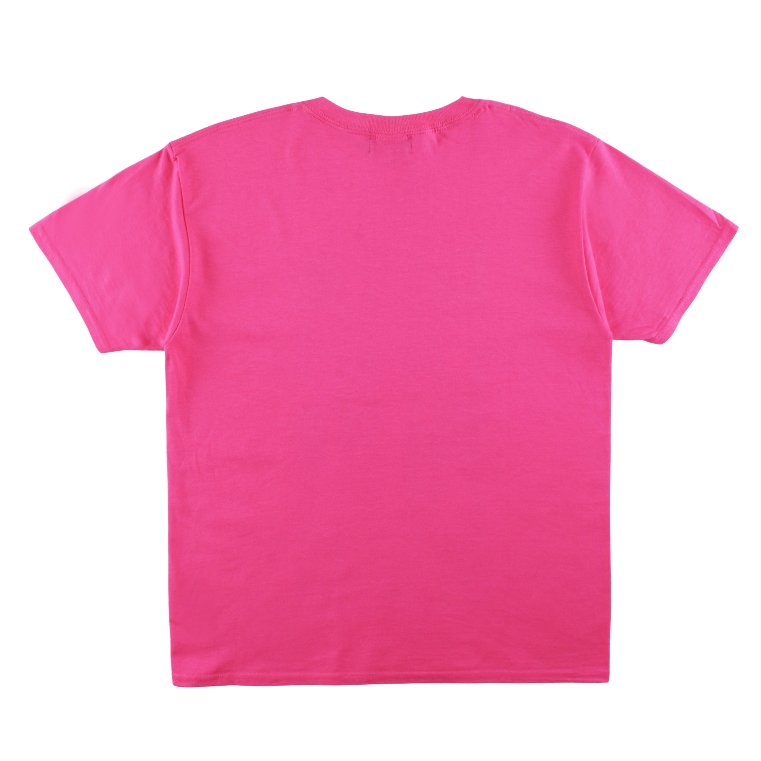 ANT”I” SWARM TEE 【Pink】
